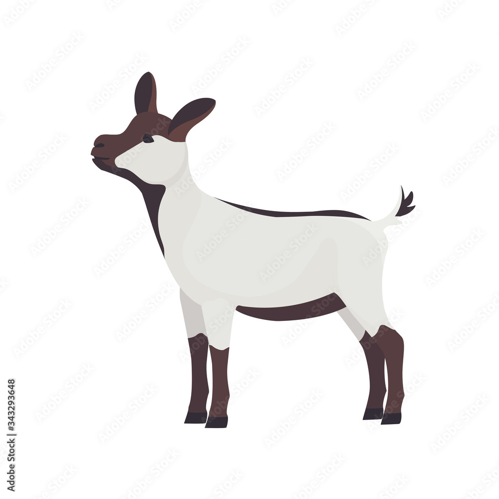 Farm Animals Goat Goatling Vector Illustration Farm Animals Goat Goatling Vector Illustration