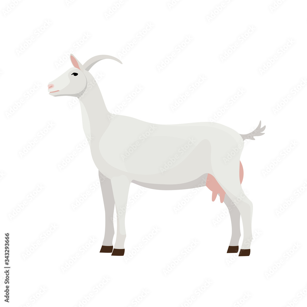 Farm Animals Goat Vector Illustration