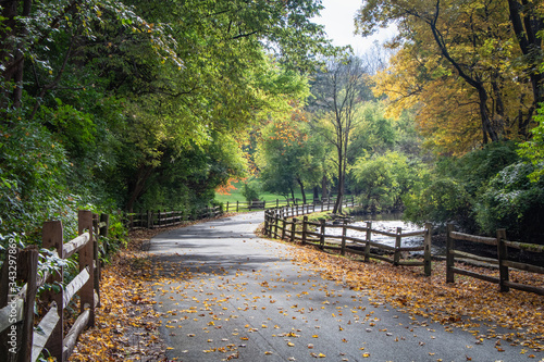 Fotografia, Obraz A country road with bright fall foliage in eastern Pennsylvania