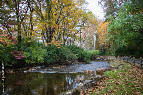 Wyomissing Creek surrounded by fall foliage near Reading, PA