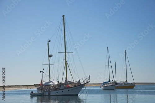 boats in the harbor