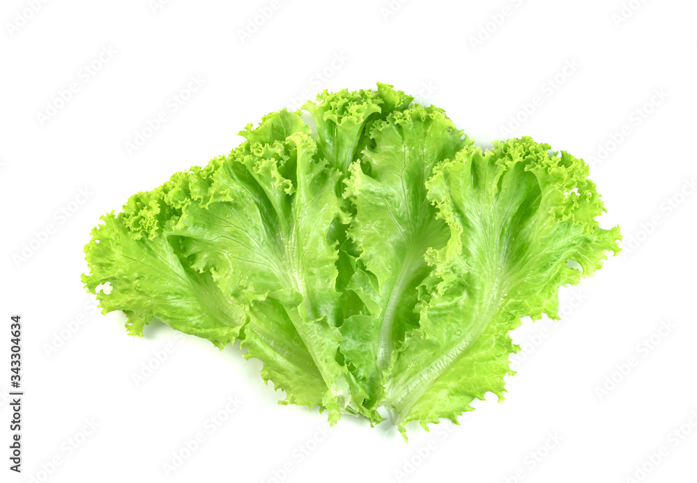 Lettuce leaf isolated on white background ,Green leaves pattern ,Salad ingredient Lettuce leaf isolated on white background ,Green leaves pattern ,Salad ingredient