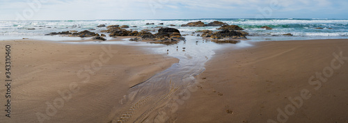 Pacific Beach, Oregon.  Sand,Sea, Birds...Water Flowing to Ocean