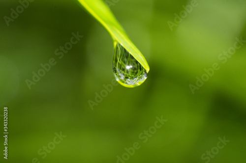 Photo Close-up Of Water Drop On Grass