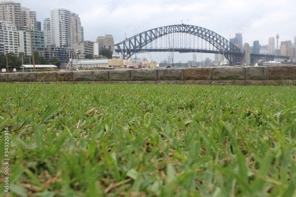 Fototapeta premium Sydney harbour bridge