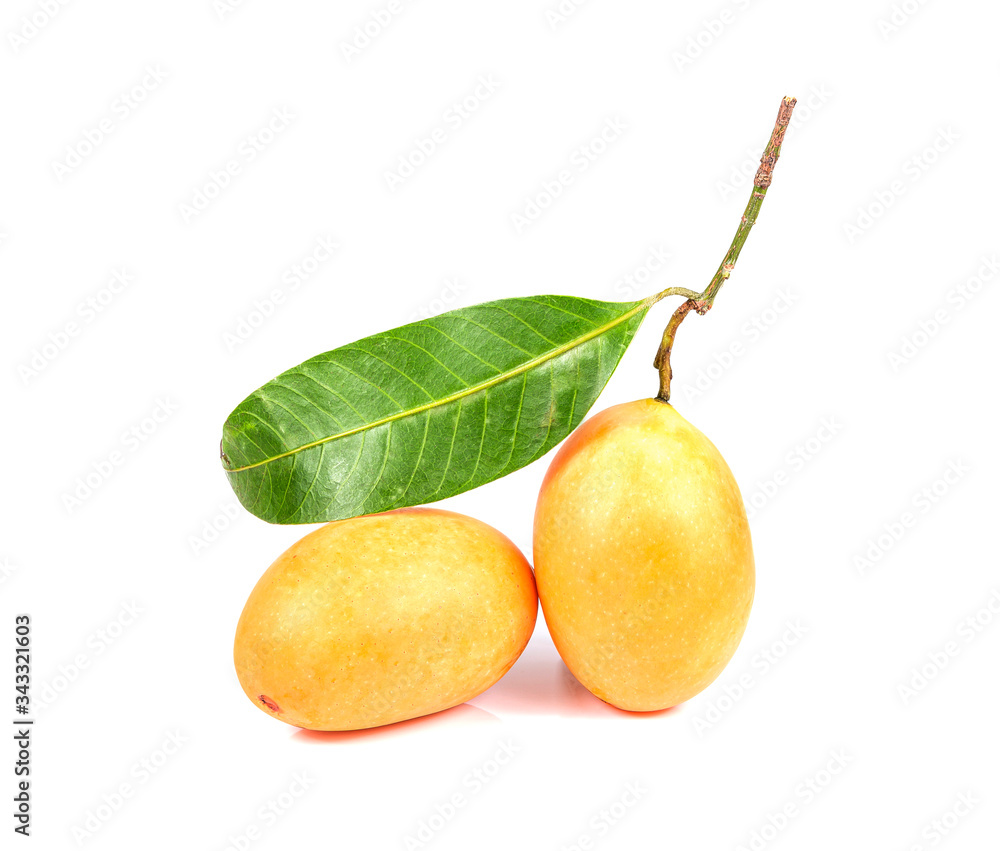 Sweet Marian plum Thai fruit isolated on white background Sweet Marian plum Thai fruit isolated on white background