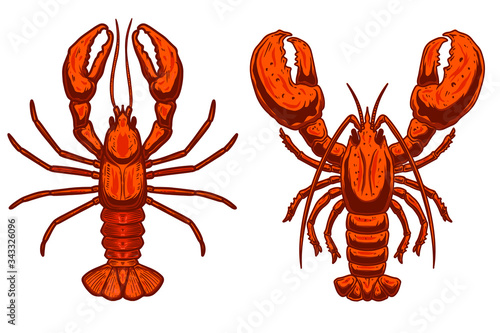 Set of Illustrations of lobsters in engraving style. Design element for logo, label, emblem, sign, badge. Vector illustration