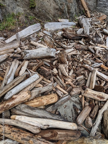 Forgotten Driftwood