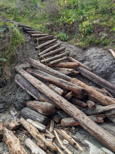 Driftwood Ladder