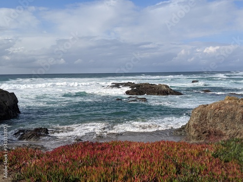 Red Ice Plant by the Pacific Ocean