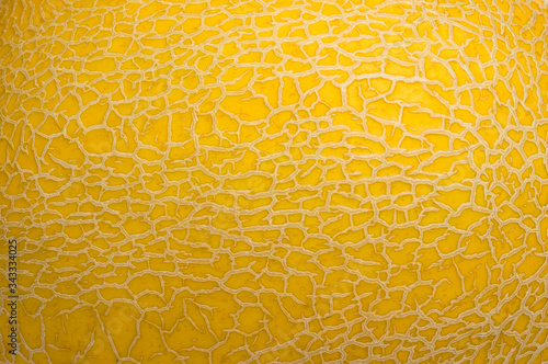 background texture surface of golden cantaloup photo