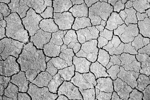 black and white cracked ground for background