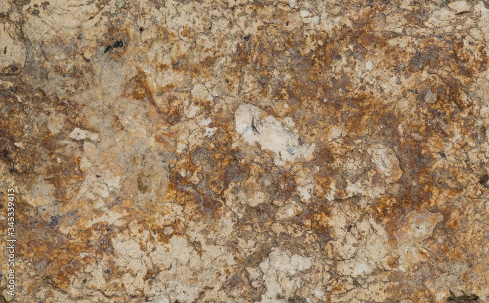 wall background, mortar concrete, cement texture
wall background, mortar concrete, cement texture