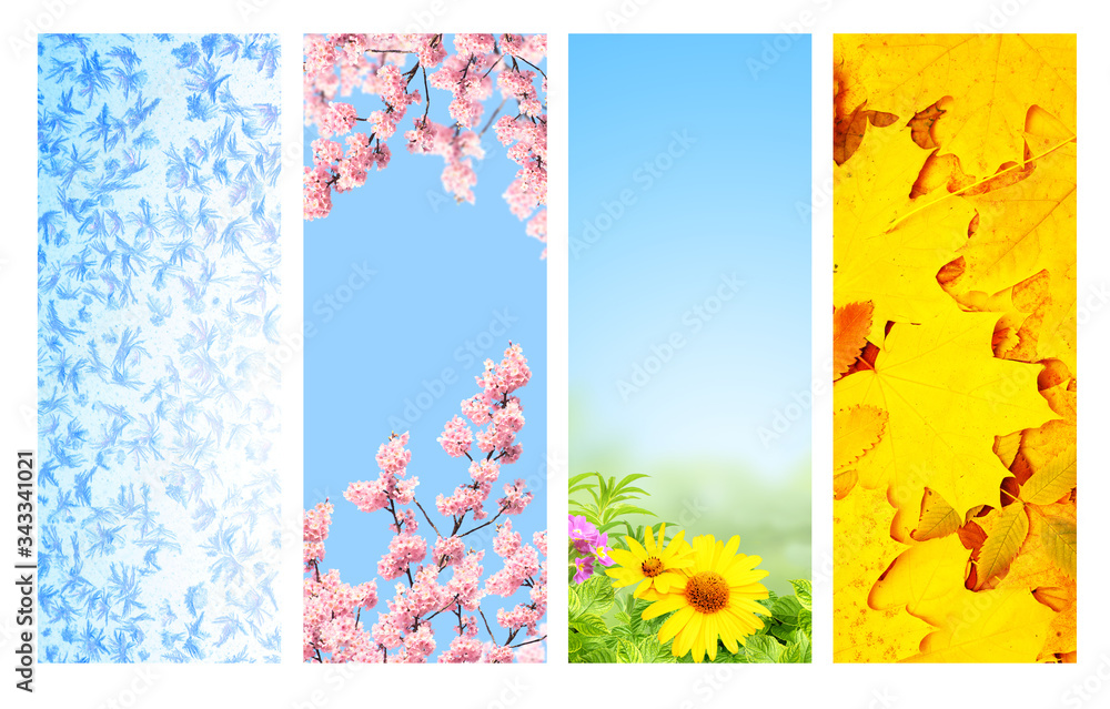 Four seasons of year Four seasons of year