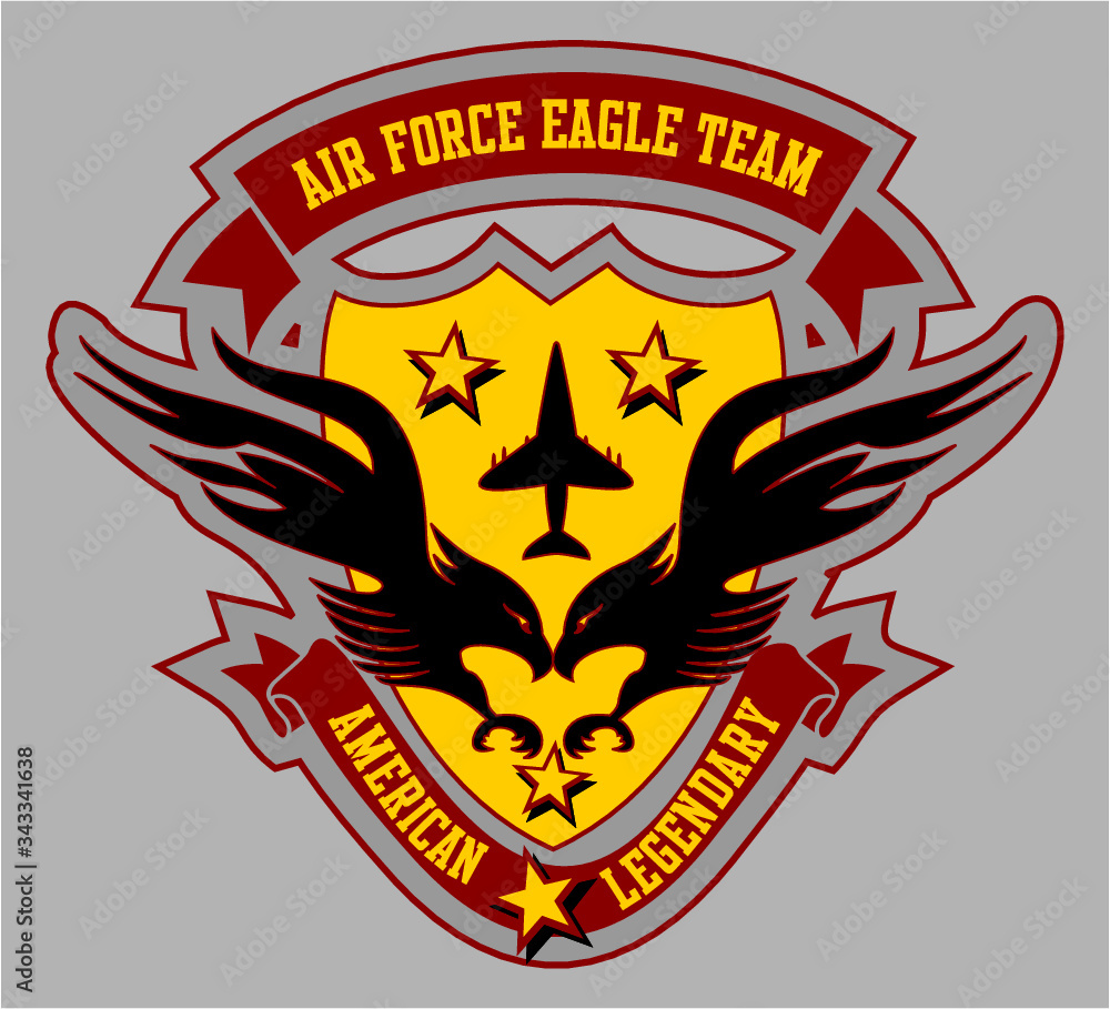Obraz premium eagle air force print embroidery graphic design vector art