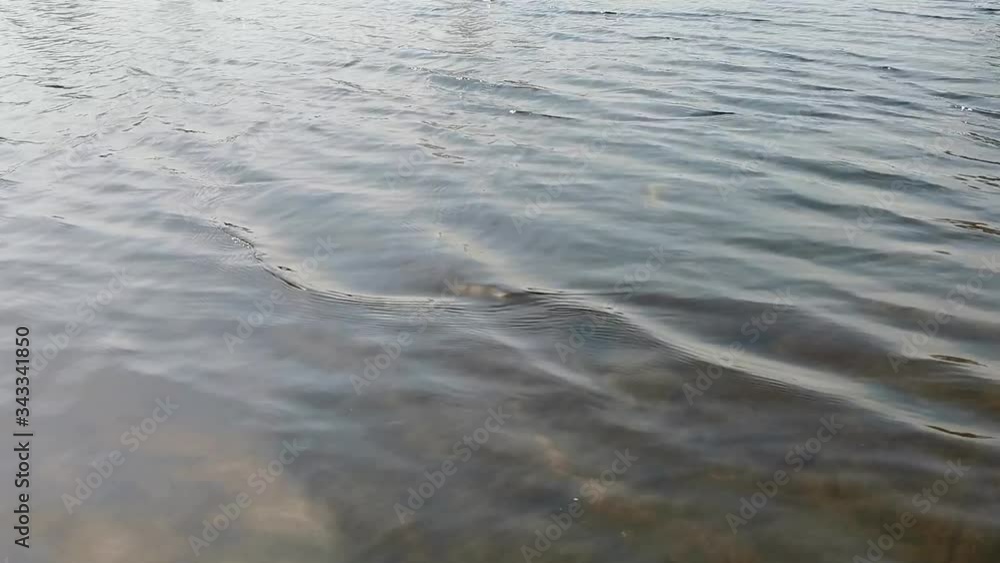 small waves on the surface of the river small waves on the surface of the river
