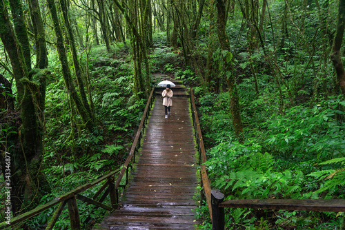 Green forest with Asian woman walking on wooden bridge