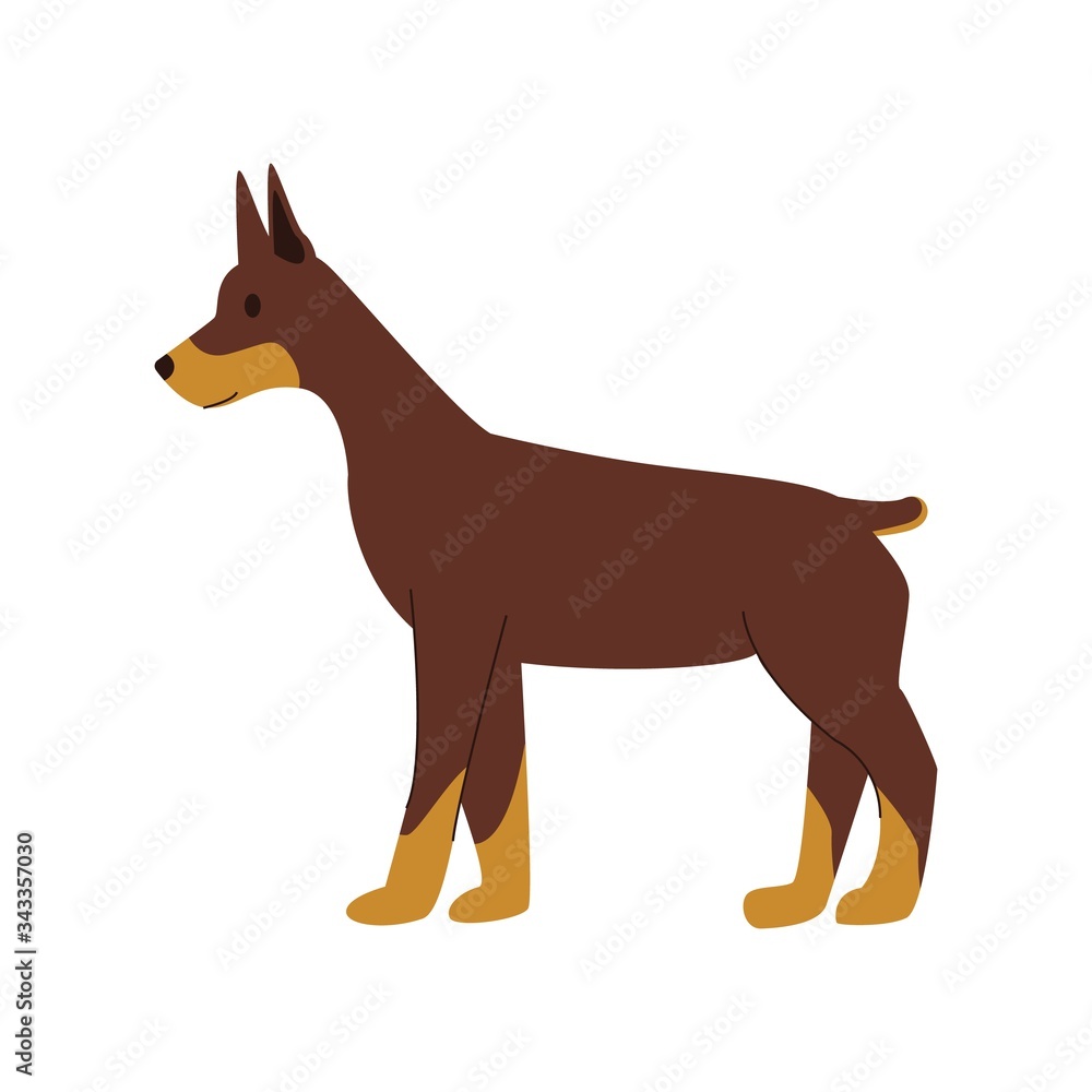 Doberman Pinscher Dog Cute funny cartoon animal. Doberman Pinscher Dog Cute funny cartoon animal.