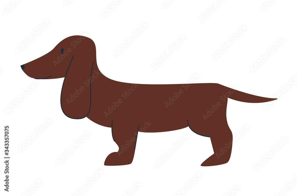 Dachshund dog Cute funny cartoon animal. Vector