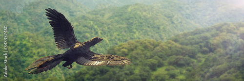 Archaeopteryx, bird-like dinosaur from the Late Jurassic period flying over the forest photo