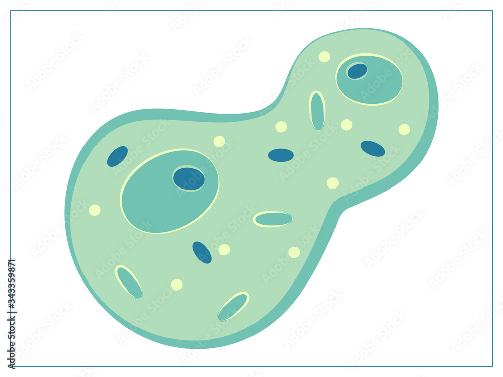 Vector flat illustration with a bacteria, virus, cells, germs or epidemic bacillus. For web, logo, app, UI. Isolated Vector flat illustration with a bacteria, virus, cells, germs or epidemic bacillus. For web, logo, app, UI. Isolated