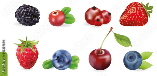 Berry realistic set with strawberry  raspberry  blackberry  cherry  currant  cranberry  bilberry and blueberry. 3d isolated vector illustration.