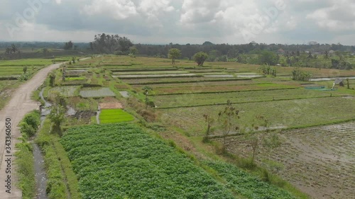 Sky view above the hypnotic and beautiful rice terraces of Tetebatu, Lombok, Indonesia photo