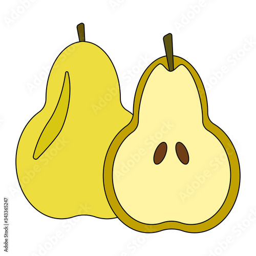 isolated illustration of a pear in colour in vector