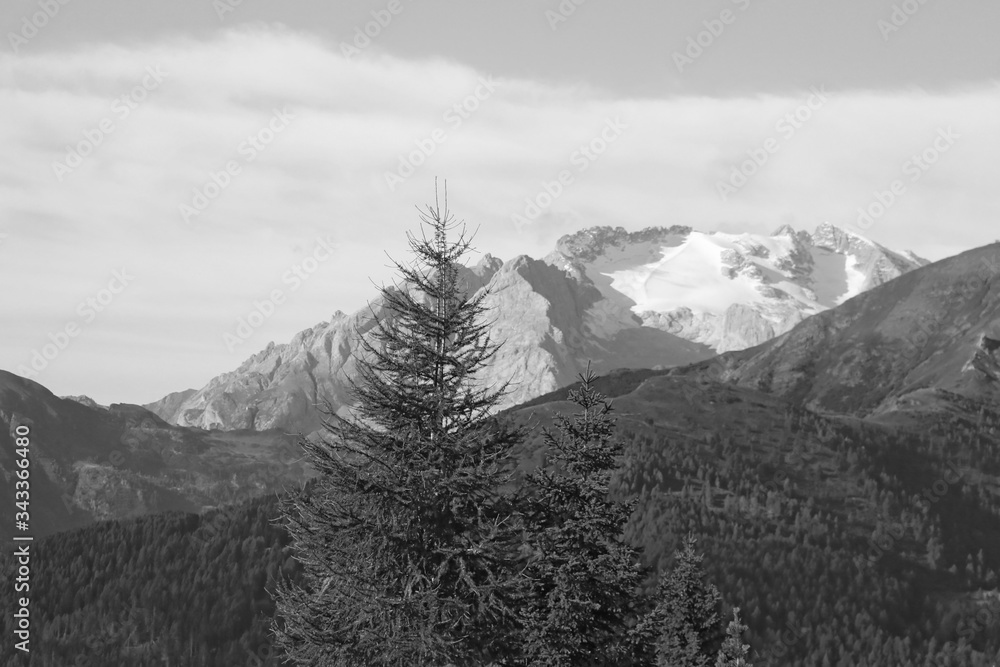 Fototapeta premium Dolomite Mountains and Forest - Dolomites, Italy, Europe.