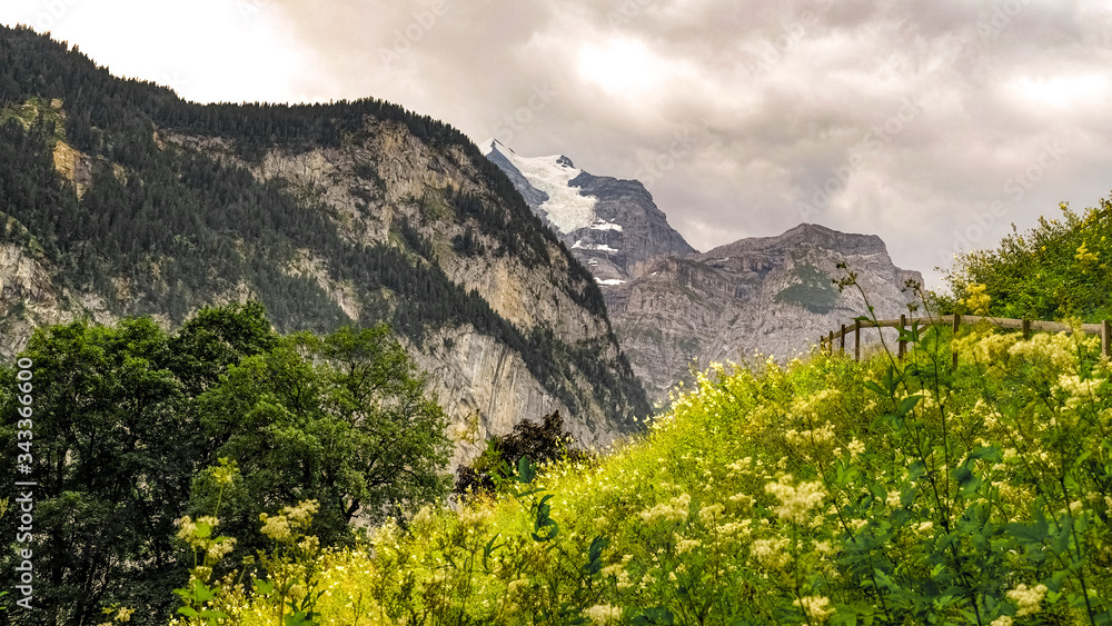 mountain landscape in the mountains