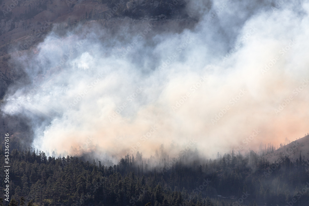 Forest Fire near Bryce Canyon