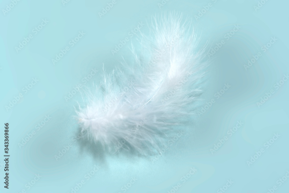 Single soft white feather on light blue background. Light soft symbol Single soft white feather on light blue background. Light soft symbol
