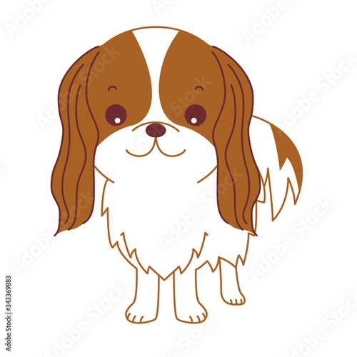 キャバリア　犬　イラスト