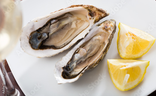 Raw fresh oysters