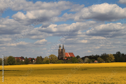 Rapsblüte im Fläming; Blick von Süden auf Jüterbog