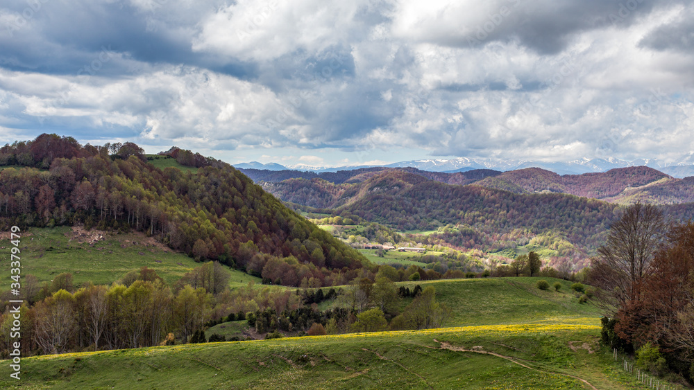Mountains, hills and forest, partially lit by the sun. Green meadow in the foreground. Puigsacalm, Catalunya, Spain Mountains, hills and forest, partially lit by the sun. Green meadow in the foreground. Puigsacalm, Catalunya, Spain