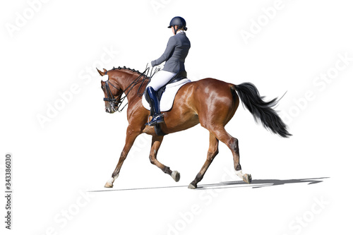 Equestrian sport - dressage rider portrait isolated on white