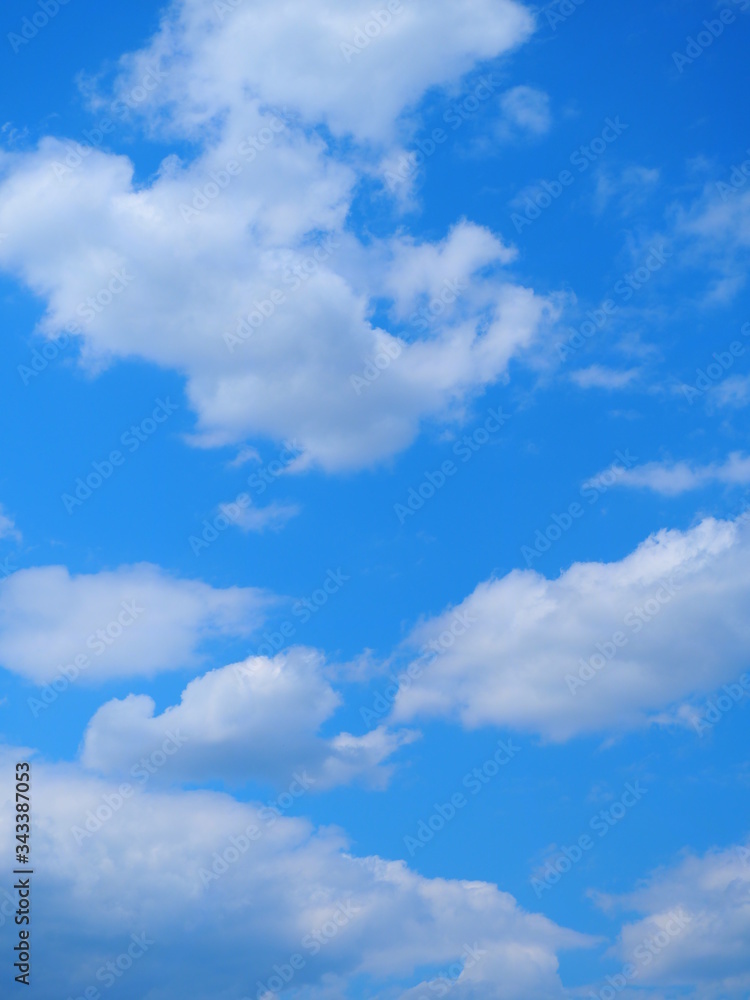 Fototapeta premium 空