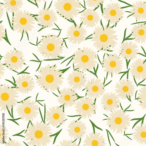 Seamless pattern with camomile flowers and leaves. Floral vector background.
