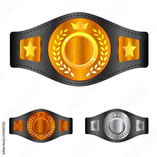 Champion belt box award sport icon flat web sign symbol logo label