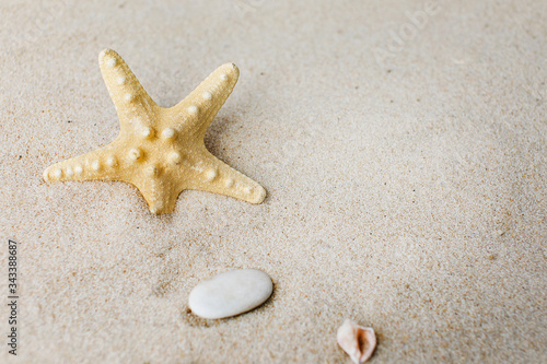 White sand with seashells and stones