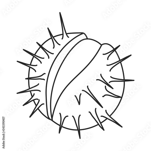 Chestnut vector icon.outline vector icon isolated on white background chestnut.