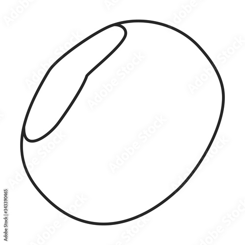 Chestnut vector icon.outline vector icon isolated on white background chestnut.