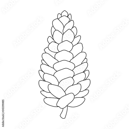 Pineof cone vector icon.outline vector icon isolated on white background pine of cone.