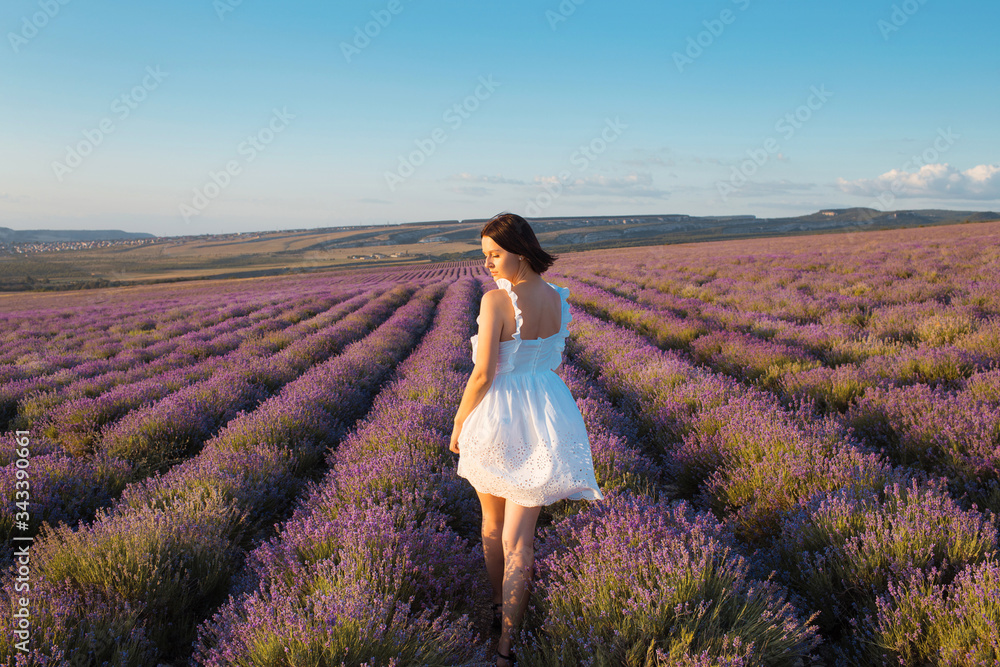 Beautiful girl in white dress walking in a lavender fields at sunset. Provence, France. Beautiful girl in white dress walking in a lavender fields at sunset. Provence, France.
