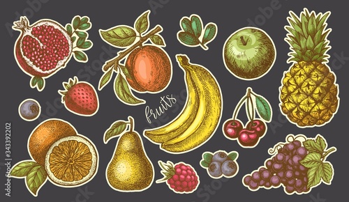 Vector illustration set of summer fruits. Stickers with contour.