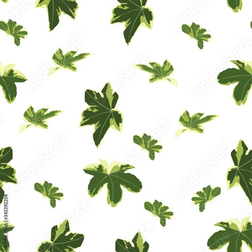 Seamless floral pattern. Background with ivy leaves. Plants texture for design. White background.