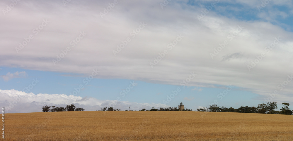 panoramic image of a cloudy blue sky over dry grassy farmland in rural Victoria, with silos on the horizon and native trees, Australia