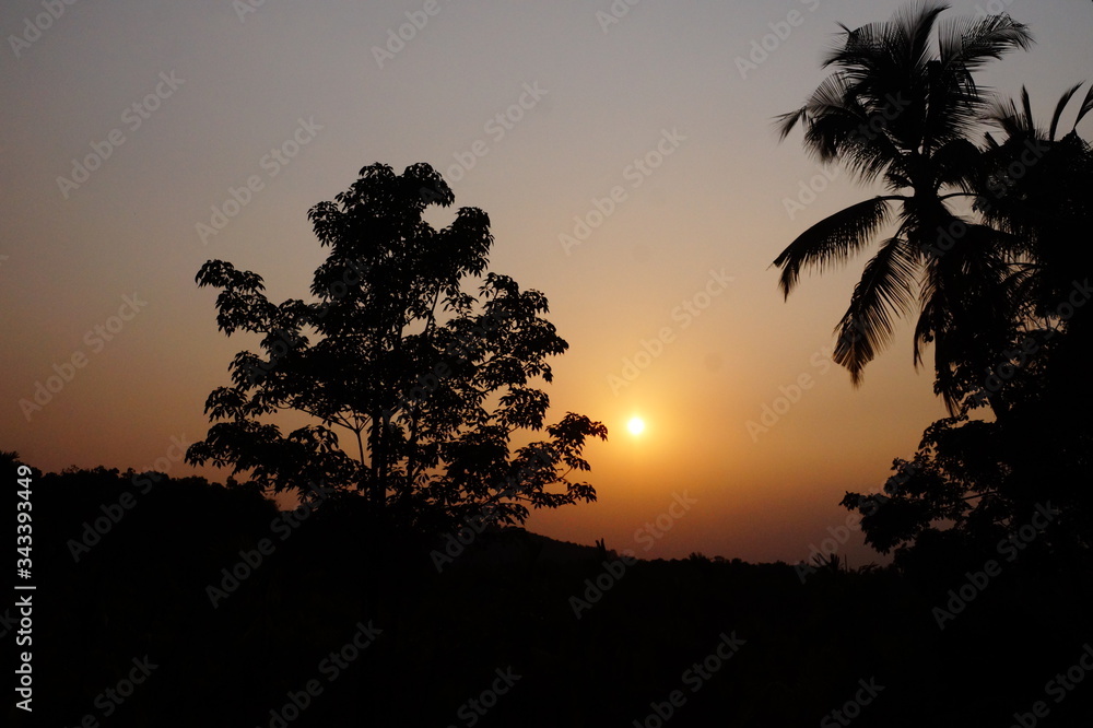 sunset, sky, tree, sun, silhouette, palm, trees, clouds, landscape, sunrise, nature, tropical.