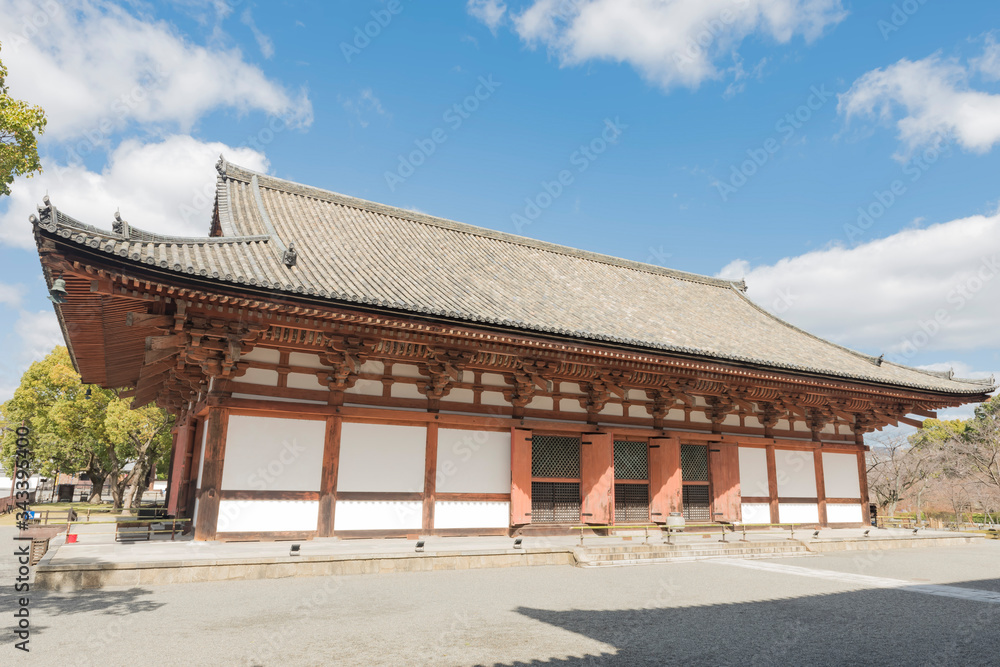 Toji, sakura castle of japan